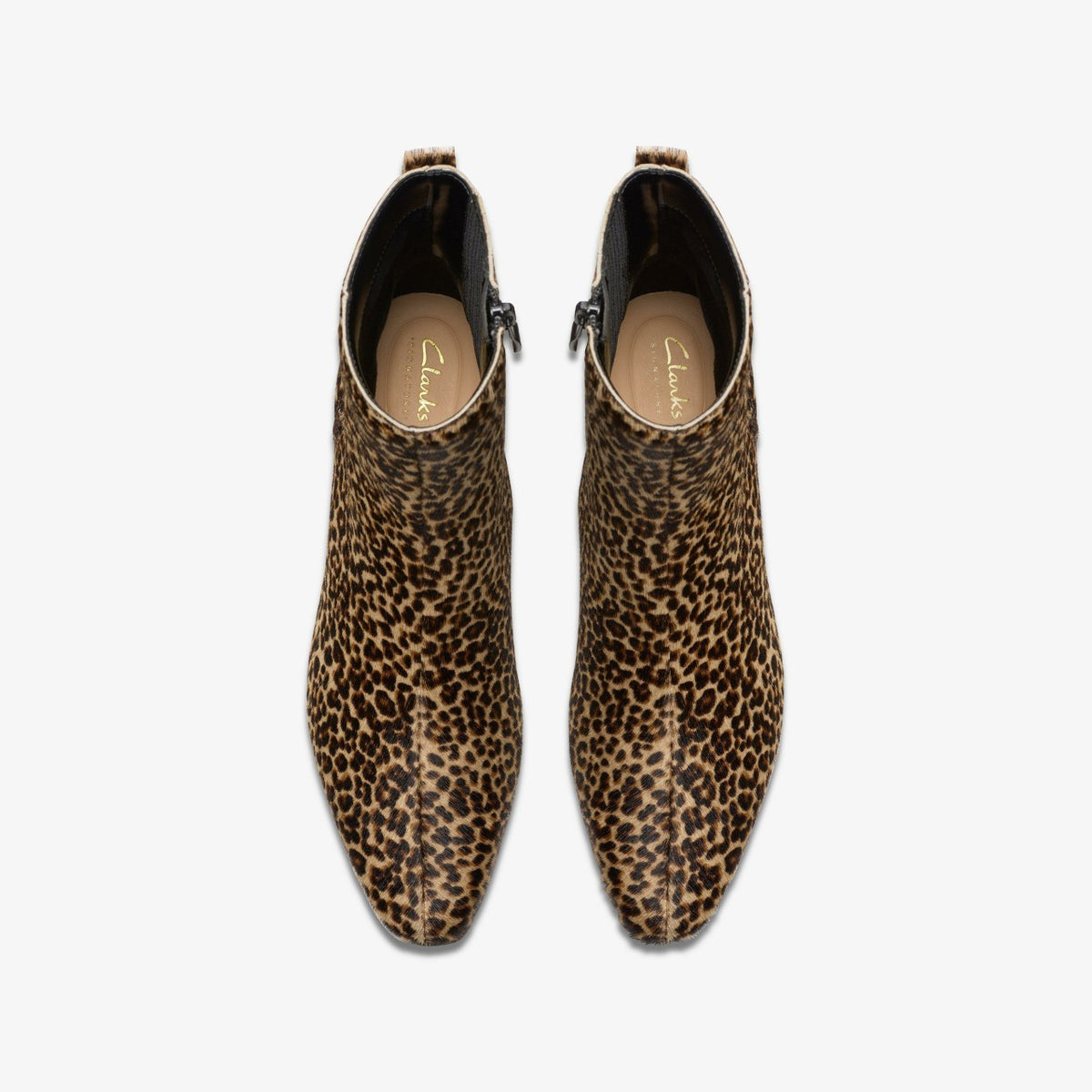 Edina Up Leopard Print - Clarks Women
