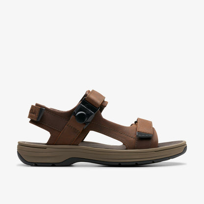 Saltway Trail Dark Brown Leather - Clarks Men