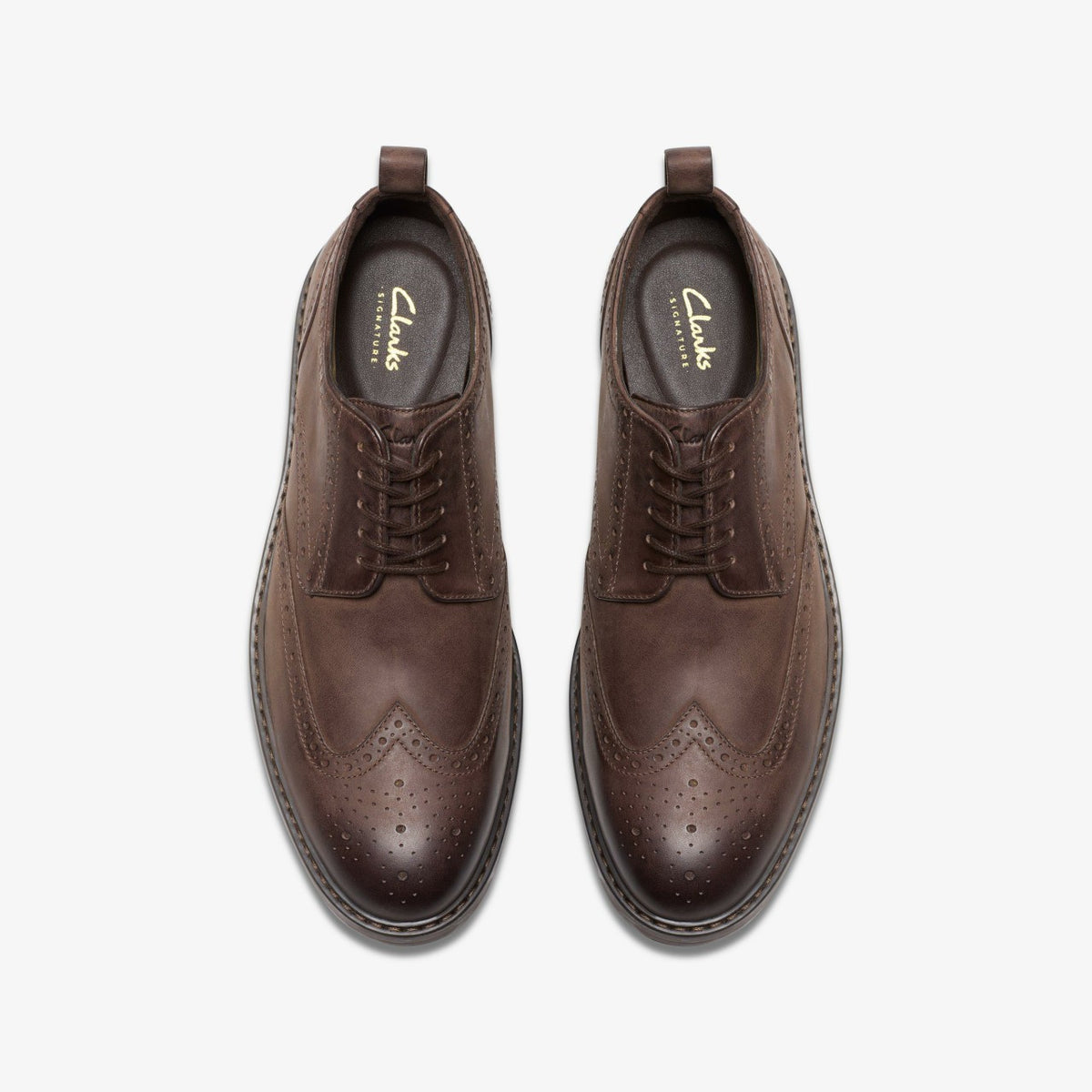 Aldwin Limit Brogue Brown Leather - Clarks Men